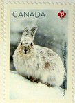 snowshoe hare stamp from Canada