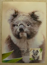 Koala postcard from Australia