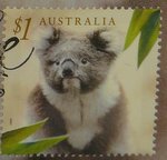 Koala stamp from Australia
